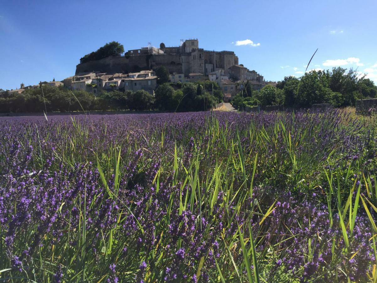 La Vie De Chateau Grignan Luaran gambar